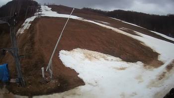 Ведмежа 13 березня 2020 року, 2020-03-13 10:00