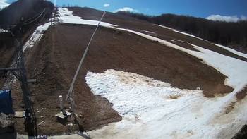 Ведмежа 14 березня 2020 року, 2020-03-14 13:00
