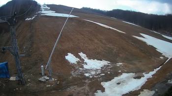 Ведмежа 20 березня 2020 року, 2020-03-20 13:00