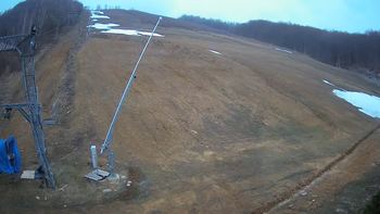 Ведмежа 30 березня 2020 року, 2020-03-30 13:00