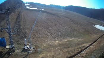Ведмежа 3 квітня 2020 року, 2020-04-03 16:00