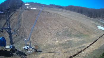 Ведмежа 6 квітня 2020 року, 2020-04-06 13:00