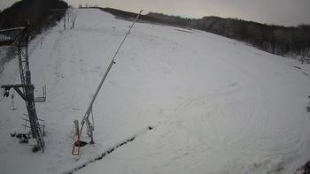 Ведмежа 15 січня 2021 року, 2021-01-15 10:00