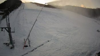 Ведмежа 15 січня 2021 року, 2021-01-15 16:00