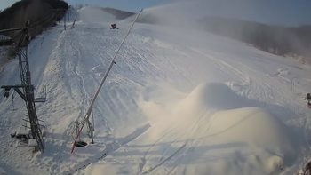 Ведмежа 16 січня 2021 року, 2021-01-16 10:00