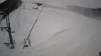 Ведмежа 16 січня 2021 року, 2021-01-16 13:00