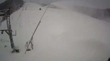 Ведмежа 17 січня 2021 року, 2021-01-17 10:00