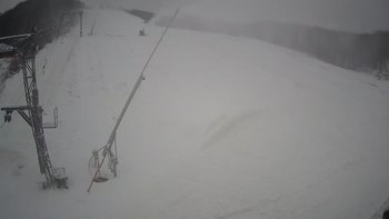 Ведмежа 17 січня 2021 року, 2021-01-17 13:00