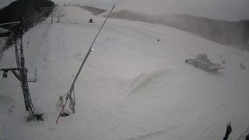 Ведмежа 17 січня 2021 року, 2021-01-17 16:00