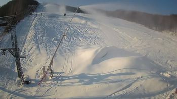 Ведмежа 18 січня 2021 року, 2021-01-18 10:00