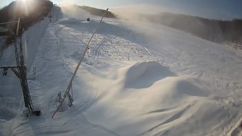 Ведмежа 18 січня 2021 року, 2021-01-18 13:00