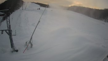 Ведмежа 18 січня 2021 року, 2021-01-18 16:00