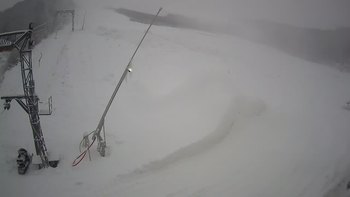 Ведмежа 19 січня 2021 року, 2021-01-19 10:00