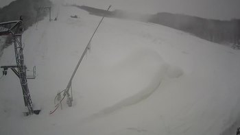 Ведмежа 19 січня 2021 року, 2021-01-19 13:00