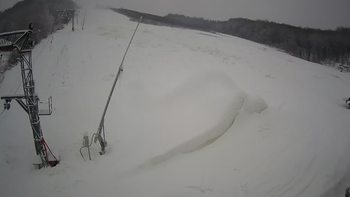 Ведмежа 19 січня 2021 року, 2021-01-19 16:00