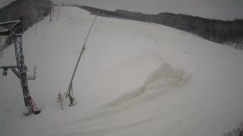 Ведмежа 20 січня 2021 року, 2021-01-20 10:00