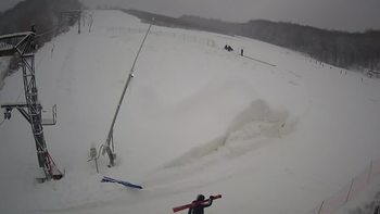 Ведмежа 20 січня 2021 року, 2021-01-20 13:00