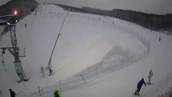 Ведмежа 20 січня 2021 року, 2021-01-20 16:00