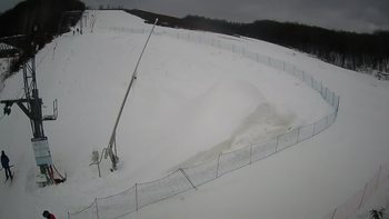 Ведмежа 21 січня 2021 року, 2021-01-21 10:00
