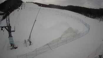 Ведмежа 21 січня 2021 року, 2021-01-21 13:00