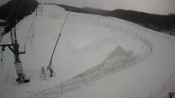 Ведмежа 22 січня 2021 року, 2021-01-22 10:00