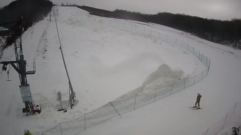 Ведмежа 22 січня 2021 року, 2021-01-22 16:00