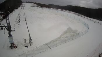 Ведмежа 23 січня 2021 року, 2021-01-23 10:00