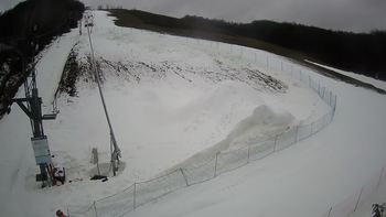 Ведмежа 24 січня 2021 року, 2021-01-24 10:00