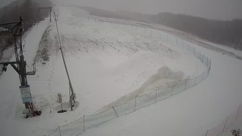 Ведмежа 25 січня 2021 року, 2021-01-25 13:00