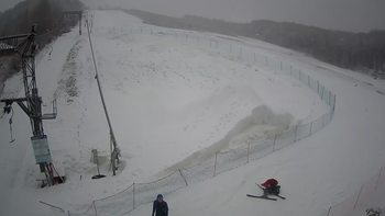 Ведмежа 25 січня 2021 року, 2021-01-25 16:00