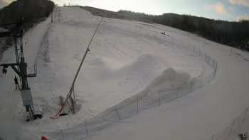 Ведмежа 26 січня 2021 року, 2021-01-26 16:00