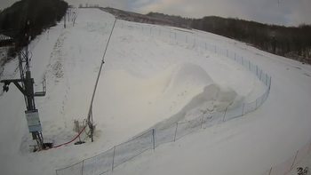 Ведмежа 28 січня 2021 року, 2021-01-28 10:00