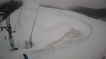 Ведмежа 29 січня 2021 року, 2021-01-29 13:00