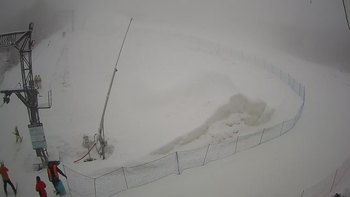 Ведмежа 30 січня 2021 року, 2021-01-30 10:00