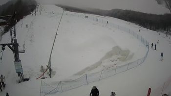 Ведмежа 30 січня 2021 року, 2021-01-30 13:00