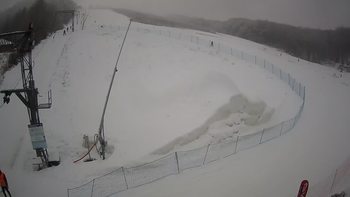 Ведмежа 30 січня 2021 року, 2021-01-30 16:00
