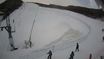 Ведмежа 31 січня 2021 року, 2021-01-31 10:00