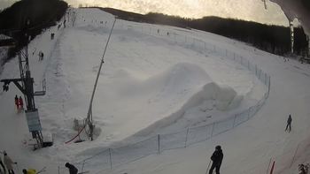 Ведмежа 31 січня 2021 року, 2021-01-31 16:00