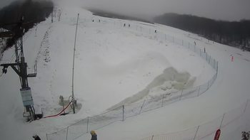 Ведмежа 3 лютого 2021 року, 2021-02-03 16:00