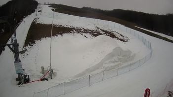 Ведмежа 6 лютого 2021 року, 2021-02-06 16:00