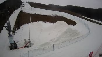 Ведмежа 10 лютого 2021 року, 2021-02-10 13:00