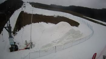 Ведмежа 10 лютого 2021 року, 2021-02-10 16:00