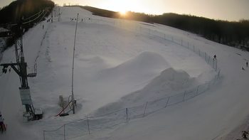 Ведмежа 16 лютого 2021 року, 2021-02-16 16:00