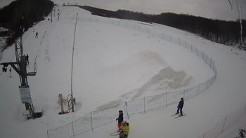 Ведмежа 19 лютого 2021 року, 2021-02-19 13:00
