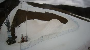 Ведмежа 1 березня 2021 року, 2021-03-01 10:00