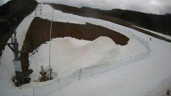Ведмежа 1 березня 2021 року, 2021-03-01 13:00