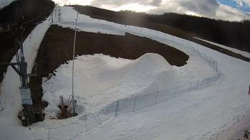 Ведмежа 1 березня 2021 року, 2021-03-01 16:00