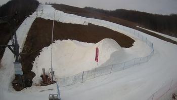 Ведмежа 4 березня 2021 року, 2021-03-04 10:00