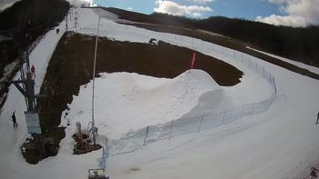Ведмежа 6 березня 2021 року, 2021-03-06 13:00