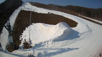 Ведмежа 8 березня 2021 року, 2021-03-08 10:00